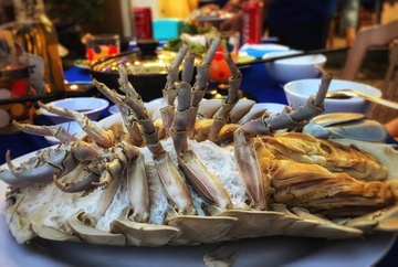 Bo bien, oc voi voi va cac hai san co ve ngoai ky la, gia dat do hinh anh
