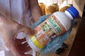 Khoi to nguoi phu nu giet chau ngoai 7 tuoi roi tu sat hinh anh