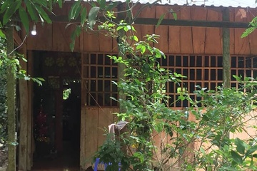 Hai vo chong bi dam luc rang sang, mot nguoi thiet mang hinh anh