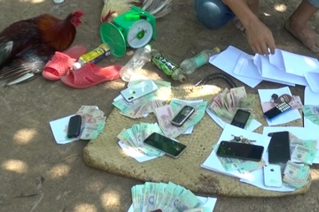 22 nguoi bi bat khi canh sat dot kich soi da ga trong vuon xoai hinh anh
