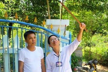 San xo mit dai hon 12 m lam to trong ruot hinh anh