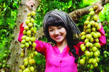 Tinh nao duoc goi la vuong quoc trai cay cua nuoc ta? hinh anh