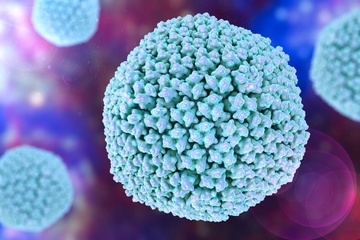 Su that ve virus bi nghi dung sau benh viem gan bi an hinh anh