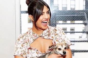 Hoa hau Priyanka Chopra cho thu cung dung tui LV, bat an Hermes hinh anh