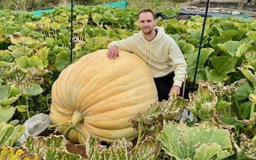 Qua bi ngo khong lo nang hon 3 chu voi con o Anh hinh anh