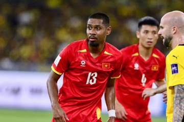 Viet Nam tut 4 hang sau tran thua Malaysia hinh anh