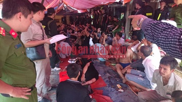 Pha soi bac trong rung anh 2