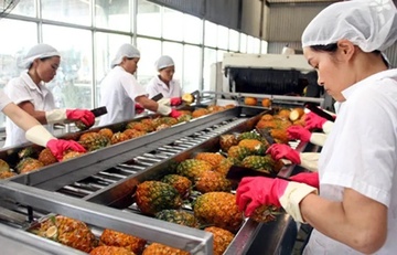 Vi sao Viet Nam tang nhap khau nong san? hinh anh