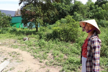 Vu ap thue gan 4,5 ty cho 300 m2 dat vuon: So Tai nguyen bao cao hinh anh