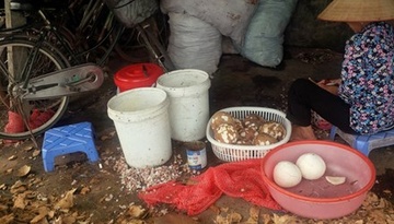 Cong nghe lam kem ban, xuong san xuat nhu chuong heo hinh anh