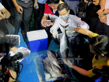 Quang Binh bo tri luc luong 24/24h de kiem dinh ca cap ben hinh anh