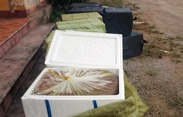Hon 1 tan nhong boc mui hoi thoi tren xe khach hinh anh