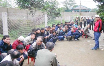 Hon 50 con bac sat phat trong soi ga nup bong trang trai hinh anh
