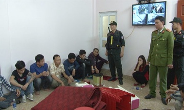 Triet pha soi bac cuc lon o Ninh Binh hinh anh
