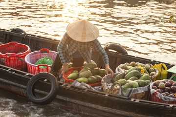 Nguon goc cua cho noi Nam Can hinh anh