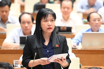 Dai bieu chi trich truong tu ne xu ly bao luc hoc duong vi doanh thu hinh anh