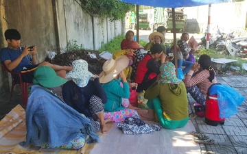 Nguoi dan Da Nang dung leu phan doi bai rac gay o nhiem hinh anh