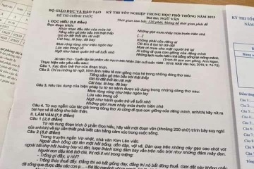 Vu 'lo' de thi Ngu van: Ban trai cua nguoi giai de da phat tan de thi hinh anh