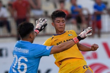 Sau HAGL, SLNA cung muon dang cai giai doan hai V.League hinh anh