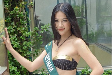 Hoa hau Trai Dat va bai toan lay lai hao quang hinh anh