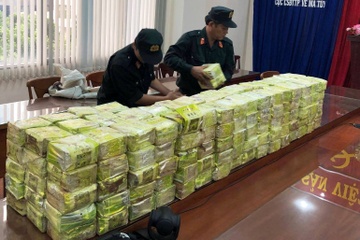 Bat hon 4.100 nguoi lien quan den ma tuy hinh anh