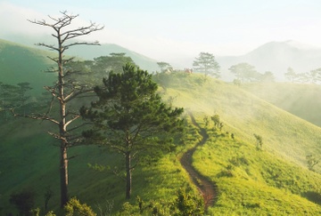 Bang rung tren cung duong trek dep nhat Viet Nam hinh anh