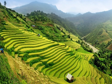 Viet Nam vao top quoc gia phai den mot lan trong doi hinh anh