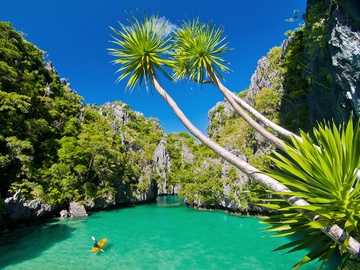20 diem den trong mo cho nam 2016 hinh anh