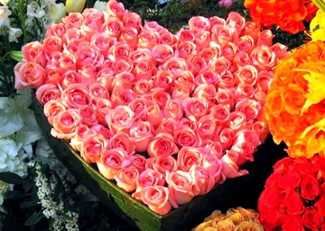 Chu nhat cua ban (28/9) hinh anh