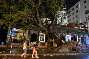 'Bao Damrey qua, ca nha toi chi biet chui xuong gam giuong' hinh anh