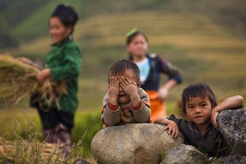 Chuyen ke ve nhung dua con cua nui hinh anh