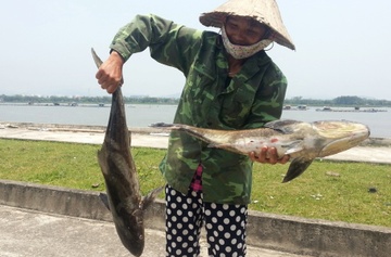 Nuoc tai cua bien Thanh Hoa vuot quy chuan cho phep hinh anh