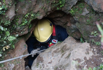2 thi the phu vang duoc dua ra khoi hang hinh anh