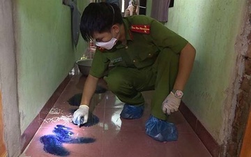 Bat nghi pham dam chet nguoi hinh anh