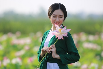 Mua hoa sen o Hai Phong hinh anh