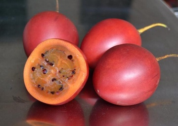 Ca chua doc la gia 1 trieu dong/kg mot thoi gio ra sao? hinh anh