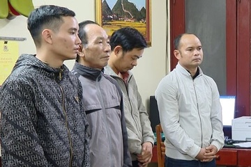 Lam gia ho so chiem doat gan 4 ty dong cua nhieu cong ty bao hiem hinh anh