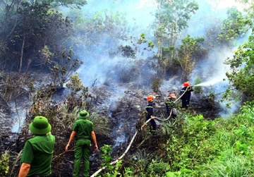 Co ban dap tat vu chay rung thong o Quang Binh hinh anh