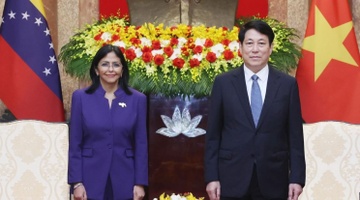Chu tich nuoc Luong Cuong tiep Pho Tong thong Thuong truc Venezuela hinh anh