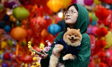 Lich nghi Tet Nguyen dan 2025 het mung 5, lap xuan mung 7 hinh anh