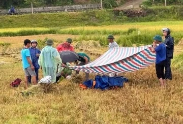 Cam dien thoai khi dang gat lua, nguoi dan ong bi set danh tu vong hinh anh