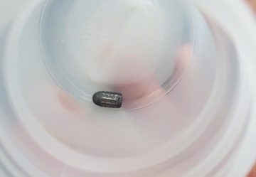 Người phụ nữ bị đạn bắn trúng đầu khi đang làm vườn