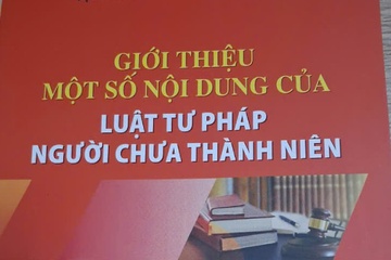 Gioi thieu mot so noi dung cua Luat tu phap nguoi chua thanh nien hinh anh