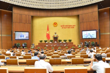 Quoc hoi danh 1 ngay ban ve phong, chong xam hai tre em hinh anh