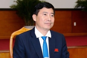 Chu tich va pho chu tich tinh Dong Thap bi ky luat hinh anh