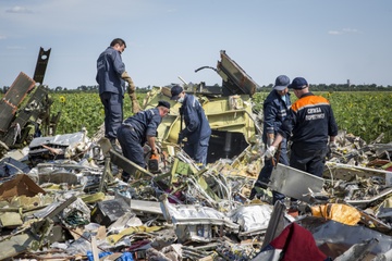 Nguoi bi an treo thuong 30 trieu USD cho chung cu ve MH17 hinh anh