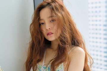 Phien toa phan chia tai san cua Goo Hara bi hoan hinh anh