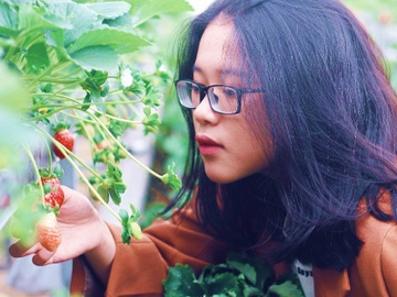 Du lich 2/9: 7 huong di chinh o Da Lat tien tham quan cac diem den hinh anh