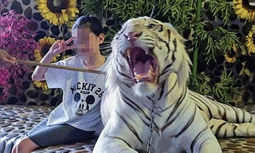 Chup anh 'selfie' cung dong vat hoang da se co hai cho chung hinh anh
