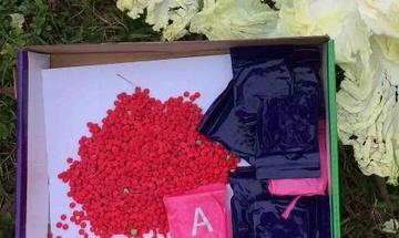 16.000 vien ma tuy vut ben le duong hinh anh